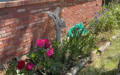 Photo of Carrie F.'s yard after getting tree care in Fort Collins, CO