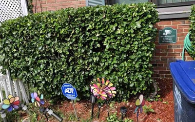 Photo of Flora F.'s yard after getting landscaping in Boyce, VA