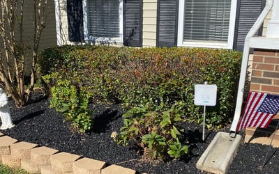 Photo of Jamie D.'s yard after getting landscaping in Van Wyck, SC