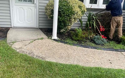Photo of Pradeep R.'s yard after getting landscaping in Smithtown, NY