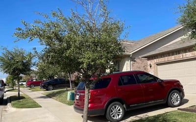 Photo of Kelly M.'s yard after getting landscaping in Merit, TX
