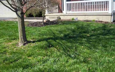 Photo of Josh S.'s yard after getting landscaping in Hebron, OH
