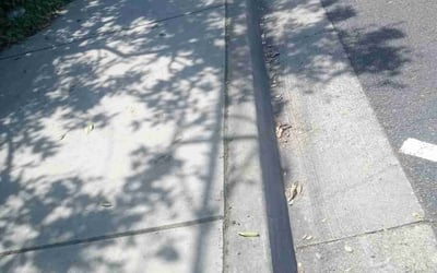 Photo of Lisa F.'s yard after getting landscaping in Arcadia, CA
