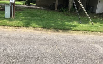 Photo of David S.'s yard after getting landscaping in Donaldsonville, LA