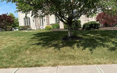Photo of Christopher M.'s yard after getting tree care in Fort Wayne, IN