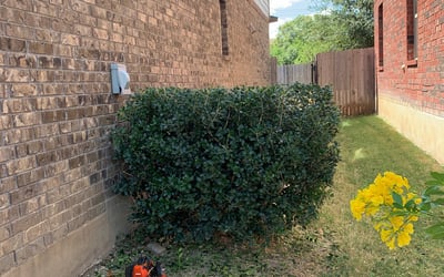 Photo of Nick L.'s yard after getting landscaping in La Vernia, TX