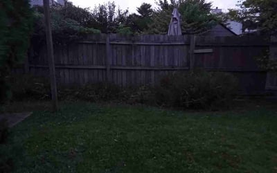 Photo of John P.'s yard after getting landscaping in Granville, OH