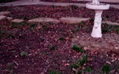 Photo of Angela M.'s yard after getting landscaping in Braymer, MO