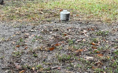 Photo of Lori C.'s yard after getting landscaping in Ingleside, TX