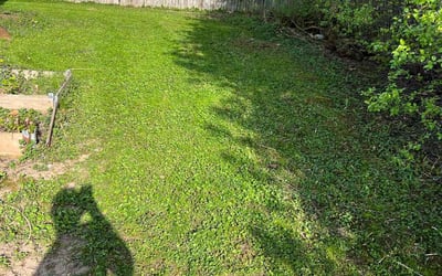 Photo of Heather S.'s yard after getting landscaping in Dousman, WI