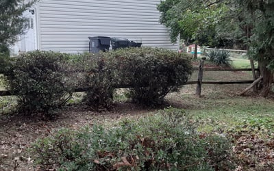 Photo of Michelle P.'s yard after getting landscaping in Catharpin, VA