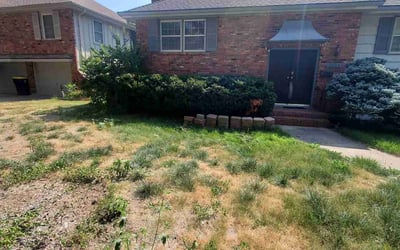 Photo of Denise S.'s yard after getting landscaping in Cameron, MO