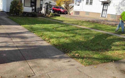 Photo of Anna S.'s yard after getting landscaping in Olmsted Falls, OH