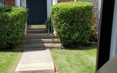 Photo of George H.'s yard after getting landscaping in Finksburg, MD