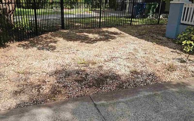 Photo of Precious K.'s yard after getting tree care in Sarasota, FL