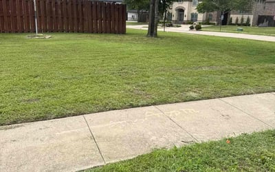 Photo of Michelle H.'s yard after getting landscaping in Little Elm, TX