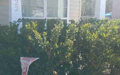 Photo of Anthony D.'s yard after getting landscaping in Fountain Inn, SC