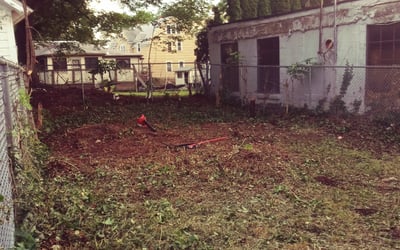Photo of Kim R.'s yard after getting landscaping in Cicero, NY