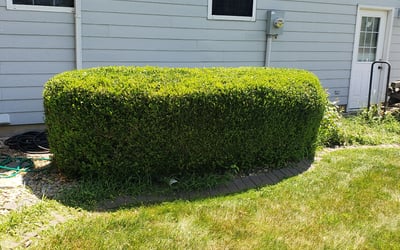 Photo of Craig V.'s yard after getting tree care in Edwardsville, IL