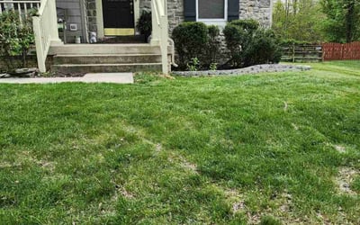 Photo of Tabitha R.'s yard after getting tree care in Stafford, VA