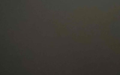 Photo of Claire Q.'s yard after getting tree care in Douglasville, GA