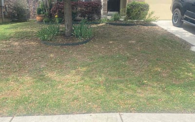 Photo of Samuel B.'s yard after getting landscaping in Boerne, TX