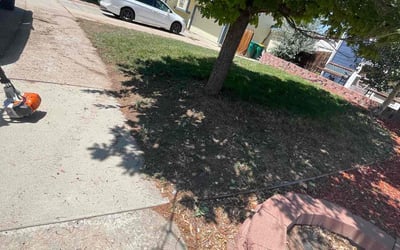 Photo of Rachel W.'s yard after getting landscaping in Buffalo Creek, CO