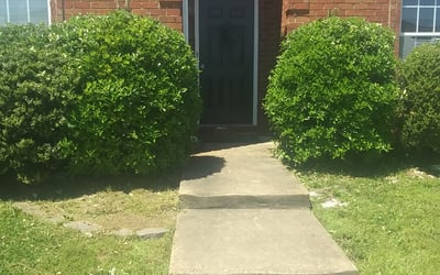 Photo of Angela S.'s yard after getting tree care in Knoxville, TN