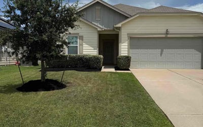Photo of Paul D.'s yard after getting tree care in Alvin, TX