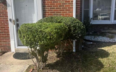 Photo of Cal G.'s yard after getting landscaping in Cobb Island, MD