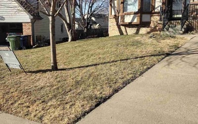Photo of Jonathan J.'s yard after getting landscaping in Glenwood, IA