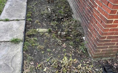Photo of Carlos P.'s yard after getting landscaping in Cleveland, OH