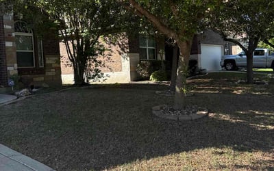 Photo of Jennifer V.'s yard after getting landscaping in Helotes, TX