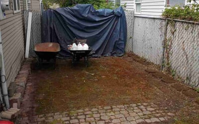 Photo of Nai J.'s yard after getting tree care in Woodinville, WA