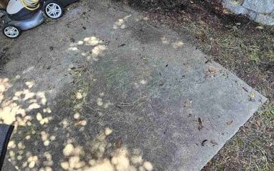 Photo of Arlene B.'s yard after getting landscaping in Orangevale, CA