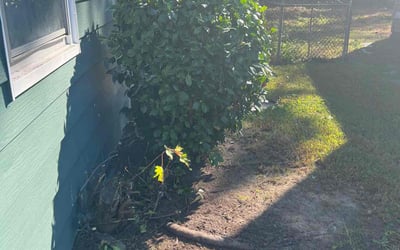 Photo of Wanda S.'s yard after getting landscaping in Hobbsville, NC