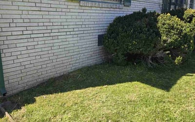 Photo of Stacey M.'s yard after getting landscaping in Franklin, TN
