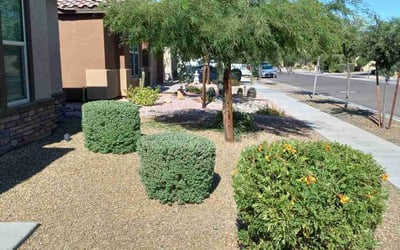 Photo of Kenneth L.'s yard after getting landscaping in Apache Junction, AZ