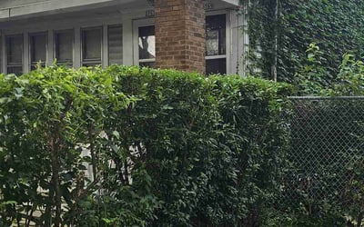Photo of Karl R.'s yard after getting landscaping in Slinger, WI