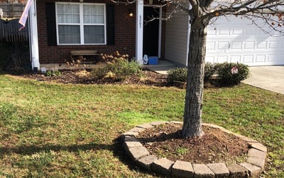 Photo of Donald G.'s yard after getting landscaping in Troutman, NC