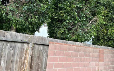 Photo of Marjorie N.'s yard after getting lawn care in Reseda, CA