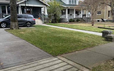 Photo of Colleen R.'s yard after getting landscaping in Old Hickory, TN