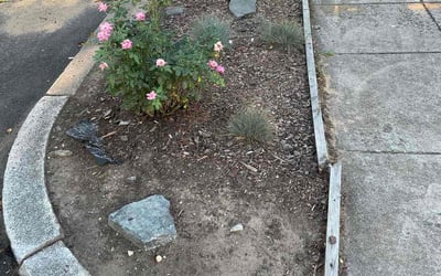 Photo of Chris C.'s yard after getting landscaping in Catharpin, VA
