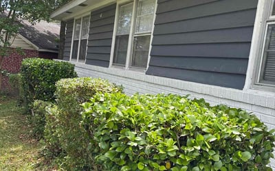 Photo of Travis A.'s yard after getting landscaping in Columbia, SC