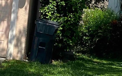 Photo of Nneka N.'s yard after getting tree care in Melbourne, FL