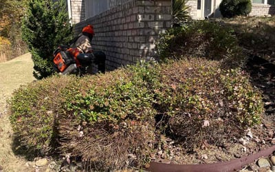 Photo of Cassandra B.'s yard after getting landscaping in Williamson, GA