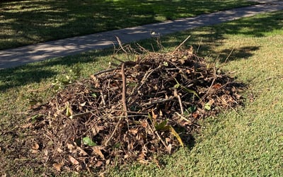 Photo of Mark W.'s yard after getting landscaping in Holden, LA
