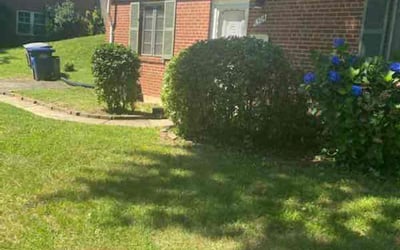 Photo of Steve C.'s yard after getting landscaping in Welcome, MD