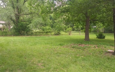Photo of Tiffany C.'s yard after getting landscaping in De Soto, KS
