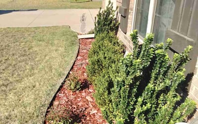 Photo of Mark M.'s yard after getting landscaping in Noble, OK